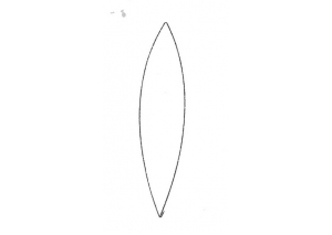 leaf - 3618